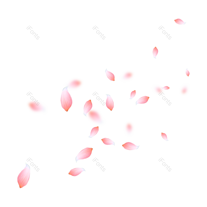 夏天图片,花朵元素,花朵素材PNG,植物素材免抠素材